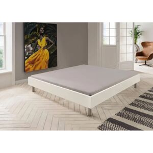 Wimex Easy Bett - Rahmenhöhe 19 cm - 160x200 cm - Ohne Matratze Wimex Easy Bett - Rahmenhöhe 19 cm - 160x200 cm - Ohne Matratze