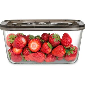 Caso VacuBoxx Eco L Glas Vakuumbehälter - Lebensmittelaufbewahrung Caso VacuBoxx Eco L Glas Vakuumbehälter - Lebensmittelaufbewahrung