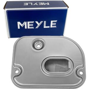 MEYLE Modello 100 325 0010 Filtro Idraulico Trasmissione - Set di filtri MEYLE Modello 100 325 0010 Filtro Idraulico Trasmissione - Set di filtri