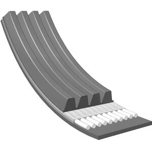 MEYLE 050 004 0830/E Courroie V-ribbed - Courroie V-ribbed pour BMW - Publicité MEYLE 050 004 0830/E Courroie V-ribbed - Courroie V-ribbed pour BMW - Publicité