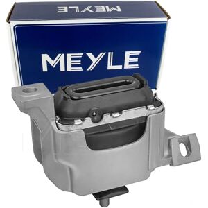 MEYLE 300 221 2005 Moottorituen tuki - Etu oikea hydraulinen Mini MEYLE 300 221 2005 Moottorituen tuki - Etu oikea hydraulinen Mini