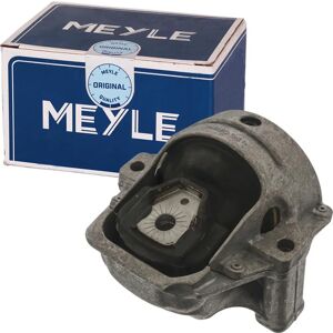 MEYLE hydraulinen vaihteen kiinnike A4 B8/A5/Q5 - Alkuperäinen laatu MEYLE hydraulinen vaihteen kiinnike A4 B8/A5/Q5 - Alkuperäinen laatu
