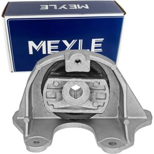 Moottorin tuki MEYLE 214 030 0022 - Fiat Doblo Moottorin tuki MEYLE 214 030 0022 - Fiat Doblo
