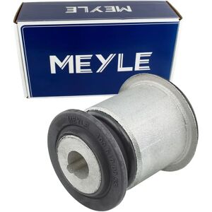 MEYLE hallintaelementin laakeri - 100 610 0055 OEM-laatu MEYLE hallintaelementin laakeri - 100 610 0055 OEM-laatu