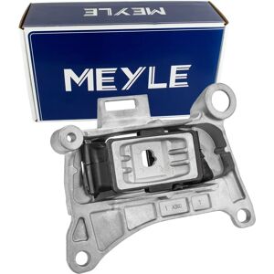 Renault Moottorin tuki - Vasen puoli - Gummimetalllager - Tukee Renault Megane, Scenic 3, Grand Scenic 3 Renault Moottorin tuki - Vasen puoli - Gummimetalllager - Tukee Renault Megane, Scenic 3, Grand Scenic 3