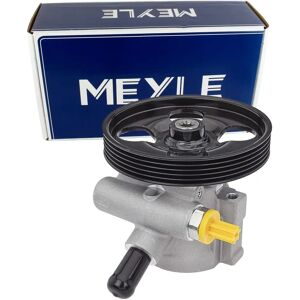 MEYLE hydraulinen ohjaustehostimen pumppu - 100 bar - 5 uras- Citroën & Peugeot MEYLE hydraulinen ohjaustehostimen pumppu - 100 bar - 5 uras- Citroën & Peugeot