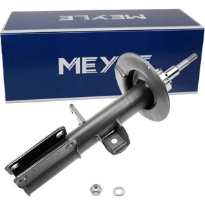 Ammortizzatore a gas anteriore destro MEYLE per BMW X5 E53 - 3.0-4.8 D I Ammortizzatore a gas anteriore destro MEYLE per BMW X5 E53 - 3.0-4.8 D I