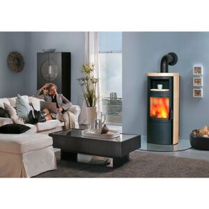 HARK Vito WW GT ECOplus 14,2 kW Wasserführender Kaminofen - Kaminofen HARK Vito WW GT ECOplus 14,2 kW Wasserführender Kaminofen - Kaminofen