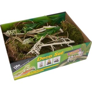 Lucky Reptile - Set Décor Expérience Vie Mantis - Décoration pour Insectes - Publicité Lucky Reptile - Set Décor Expérience Vie Mantis - Décoration pour Insectes - Publicité