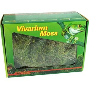 Mousse Lucky Reptile VM-150 - Décoration de terrariums - Publicité Mousse Lucky Reptile VM-150 - Décoration de terrariums - Publicité