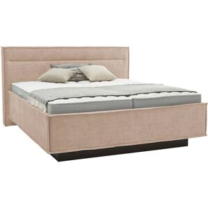 Musterring - JustB SC 100 - beige - Polsterbett Musterring - JustB SC 100 - beige - Polsterbett