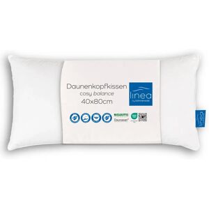 Böhmerwald Comfort Kussen - 70% veren / 30% dons - 500g - Gemaakt in Duitsland Böhmerwald Comfort Kussen - 70% veren / 30% dons - 500g - Gemaakt in Duitsland