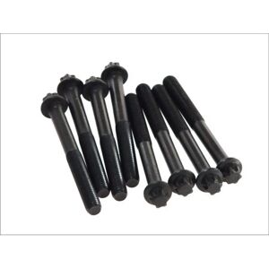 Elring M14x2x140 pulttipakkaus - Sylinterikansi - 820.245 Elring M14x2x140 pulttipakkaus - Sylinterikansi - 820.245