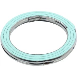Elring Malli 90917060 Pehmeämetallinen tiiviste - Pakollinen putki Elring Malli 90917060 Pehmeämetallinen tiiviste - Pakollinen putki