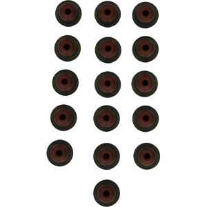 Elring Set guarnizioni valvole - BMW, Land Rover Elring Set guarnizioni valvole - BMW, Land Rover