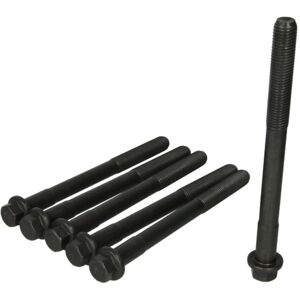 Elring M16x2.0x189 Set di bulloni per testa cilindro - Set di bulloni testa cilindro Elring M16x2.0x189 Set di bulloni per testa cilindro - Set di bulloni testa cilindro