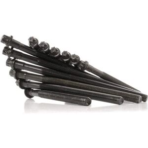ELRING Juego de tornillos de culata BMW - Torx exterior - M9, M10 ELRING Juego de tornillos de culata BMW - Torx exterior - M9, M10
