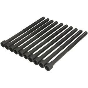 ELRING 794.470 Set di bulloni per testa del cilindro - Per BMW 1, 3 serie ELRING 794.470 Set di bulloni per testa del cilindro - Per BMW 1, 3 serie
