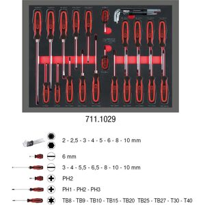 KS Tools 711.1029 Handskruvmejselsats - Systeminsats KS Tools 711.1029 Handskruvmejselsats - Systeminsats