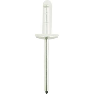 KS Tools 420.1784 Clip rivet - Toyota, Lexus - Pack de 10 - Publicité KS Tools 420.1784 Clip rivet - Toyota, Lexus - Pack de 10 - Publicité