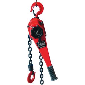 Berger & Schröter Kettentræk med Dobbelt Skralde - Industriel Type Berger & Schröter Kettentræk med Dobbelt Skralde - Industriel Type