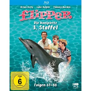 Morse - Flipper Complete Season 3 Blu-ray - Region-Free Morse - Flipper Complete Season 3 Blu-ray - Region-Free