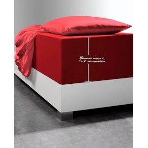 FLEURESSE Komfort XL - Spannbettlaken FLEURESSE Komfort XL - Spannbettlaken
