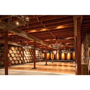 PAPERMOON Napa Valley Wein Fototapete - Vlies, 3x2.23m, 6 Bahnen - Bunt PAPERMOON Napa Valley Wein Fototapete - Vlies, 3x2.23m, 6 Bahnen - Bunt