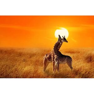 PAPERMOON Giraffen gegen Sonnenuntergang Tapete - Vlies 2,5x1,86m PAPERMOON Giraffen gegen Sonnenuntergang Tapete - Vlies 2,5x1,86m