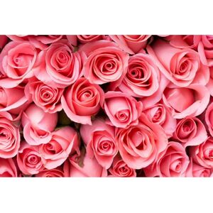 PAPERMOON Pink Rose Flowers Tapete - Vlies, 5m x 2.8m - Tapete PAPERMOON Pink Rose Flowers Tapete - Vlies, 5m x 2.8m - Tapete