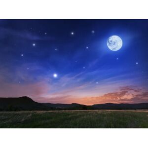 PAPERMOON Vollmond Bunt Vlies Tapete - Tapete PAPERMOON Vollmond Bunt Vlies Tapete - Tapete