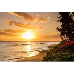 PAPERMOON Hawaii Strand Tapete - 8 Bahnen PAPERMOON Hawaii Strand Tapete - 8 Bahnen