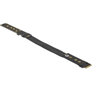 Tarjeta de extensión M.2 Key M interna DeLOCK - 20cm Tarjeta de extensión M.2 Key M interna DeLOCK - 20cm