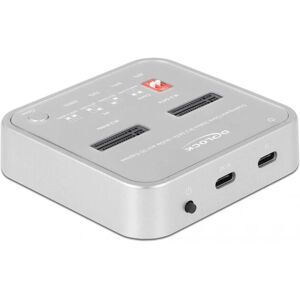 DeLOCK 64138 Storage Drive Docking Station - Storage Type DeLOCK 64138 Storage Drive Docking Station - Storage Type