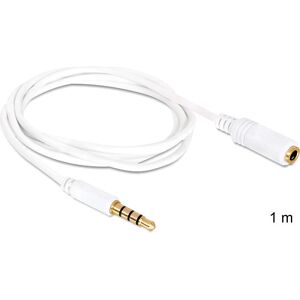 Câble audio Delock 3,5 mm Blanc - Extenseur 1m pour iPhone, iPad, iPod Câble audio Delock 3,5 mm Blanc - Extenseur 1m pour iPhone, iPad, iPod