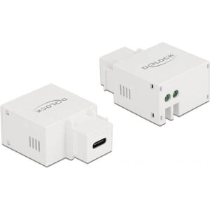 DeLOCK Keystone Module - USB-C Charger - White - Network Accessory DeLOCK Keystone Module - USB-C Charger - White - Network Accessory