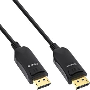 InLine 17225A Câble DisplayPort 25M - Norme DisplayPort - Publicité InLine 17225A Câble DisplayPort 25M - Norme DisplayPort - Publicité