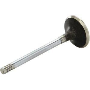 AE Válvula V91188 - Escape, Cromo, 36mm, 102.5mm, para BMW E30 E34 Z1 AE Válvula V91188 - Escape, Cromo, 36mm, 102.5mm, para BMW E30 E34 Z1