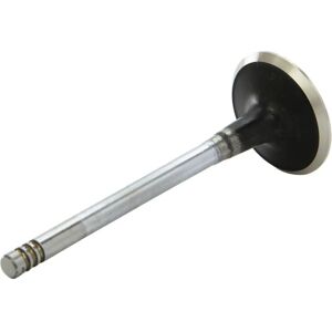 AE V94007 Auslassventil - Chrom, 38,1 mm stem, gehärtet AE V94007 Auslassventil - Chrom, 38,1 mm stem, gehärtet