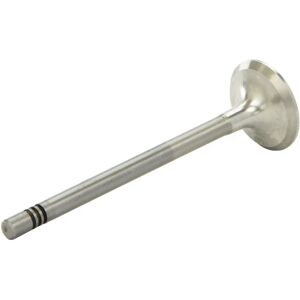AE V94405 Valvola - 28mm, 99mm, Sedile rivestito di Stellite - Valvola AE V94405 Valvola - 28mm, 99mm, Sedile rivestito di Stellite - Valvola