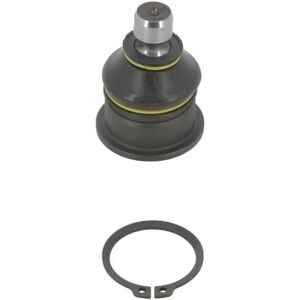 Moog RE-BJ-2094 Giunto sferico - Inferiore, Assale anteriore, Renault Megane 2 Moog RE-BJ-2094 Giunto sferico - Inferiore, Assale anteriore, Renault Megane 2