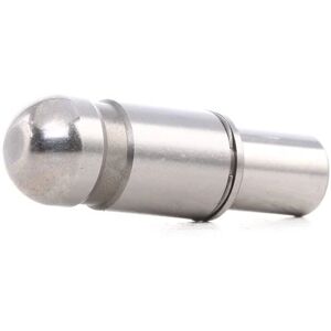 AE Model FOL251 Hydraulische Klepstoters - Voor Ford, Fiat, Peugeot, Transit, Ranger AE Model FOL251 Hydraulische Klepstoters - Voor Ford, Fiat, Peugeot, Transit, Ranger