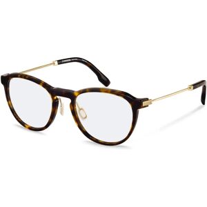 Rodenstock R8031 havana, gold - Brillenfassungen Rodenstock R8031 havana, gold - Brillenfassungen