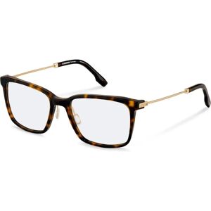 Rodenstock R8032 Havana Gouden Montuur Rodenstock R8032 Havana Gouden Montuur
