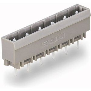 Wago 231-242/001-000 Terminalblok - 12 Poles, Grijs Wago 231-242/001-000 Terminalblok - 12 Poles, Grijs
