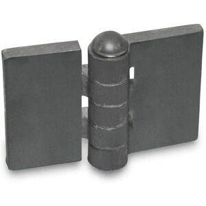 Ganter 1366-St-60-50-A-Bl Stahlprofil Scharniere - Hoch Robust Ganter 1366-St-60-50-A-Bl Stahlprofil Scharniere - Hoch Robust