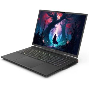 CAPTIVA i9 Gaming Laptop - 17,3" WQXGA - RTX 4090 - 16GB DDR5 CAPTIVA i9 Gaming Laptop - 17,3" WQXGA - RTX 4090 - 16GB DDR5