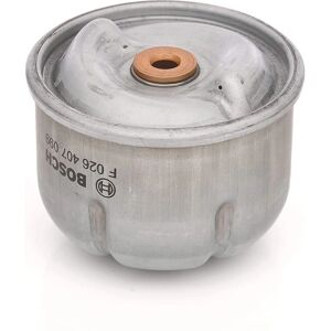 Bosch öljynsuodatin F 026 407 099 - For Ford, Land Rover, Discovery Bosch öljynsuodatin F 026 407 099 - For Ford, Land Rover, Discovery