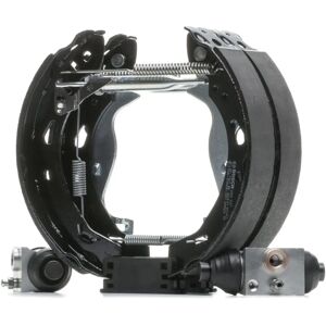 BOSCH jarrupalasarja - Ford Fiesta Mk6 - Rumpu jarrut BOSCH jarrupalasarja - Ford Fiesta Mk6 - Rumpu jarrut