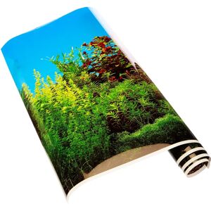 Fond d'aquarium EBI - Océan/Flore - 80x40cm - Publicité Fond d'aquarium EBI - Océan/Flore - 80x40cm - Publicité